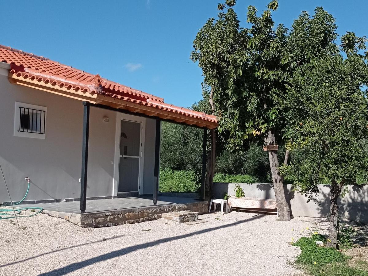 Avocado House Villa Finikounta Ngoại thất bức ảnh