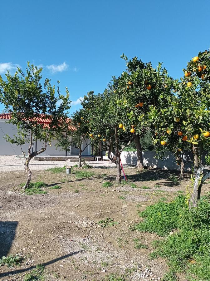 Avocado House Villa Finikounta Ngoại thất bức ảnh