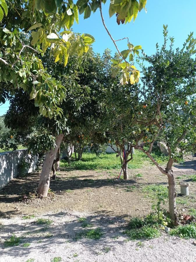 Avocado House Villa Finikounta Ngoại thất bức ảnh