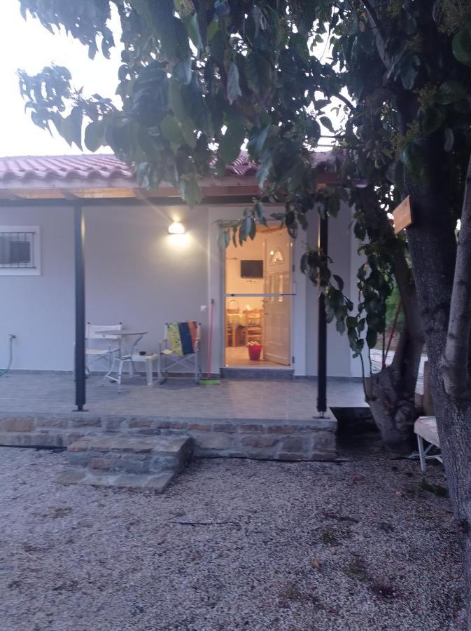 Avocado House Villa Finikounta Ngoại thất bức ảnh