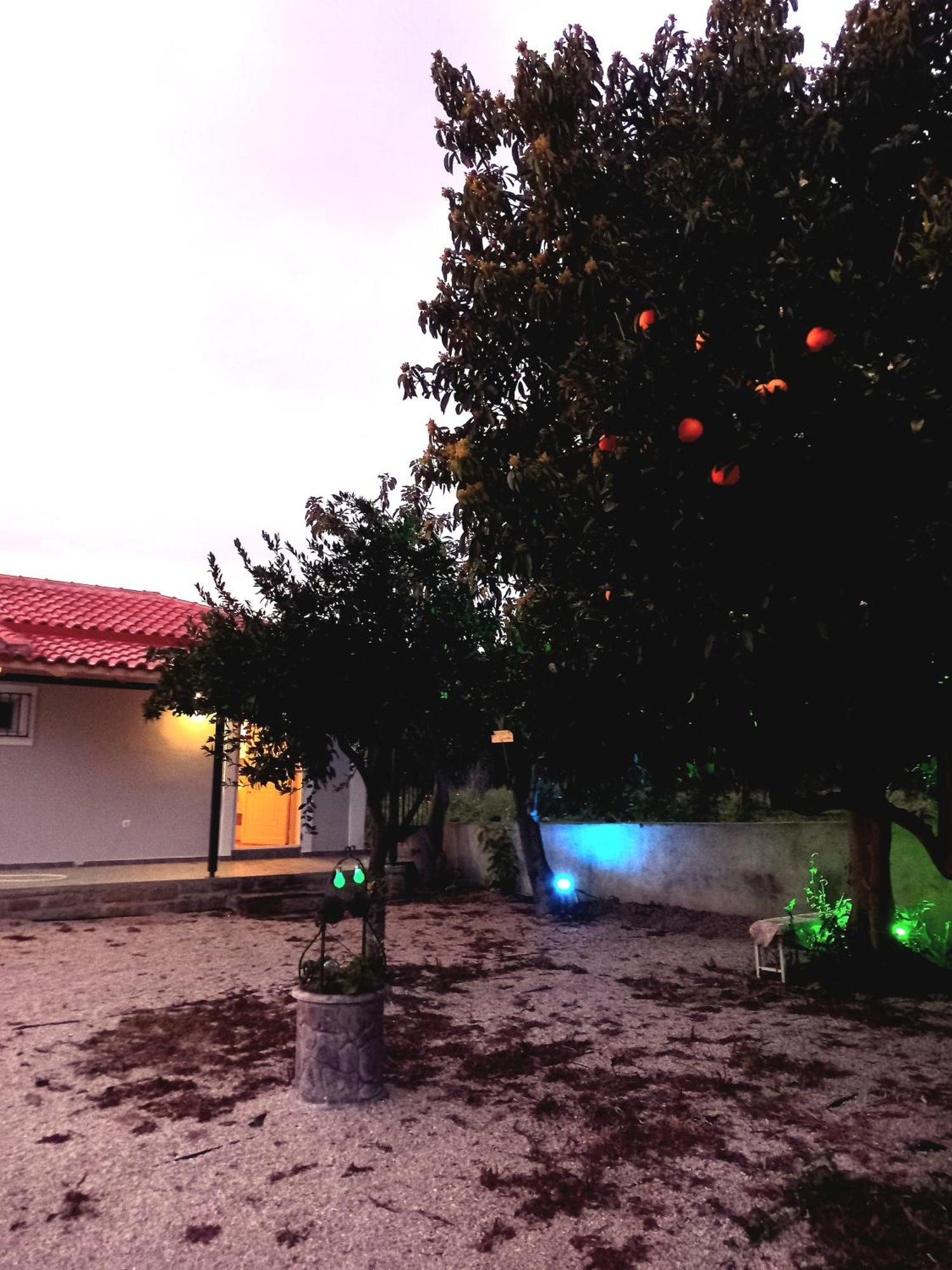 Avocado House Villa Finikounta Ngoại thất bức ảnh