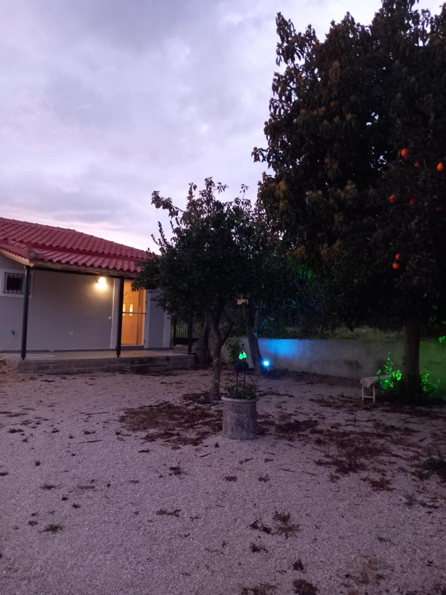 Avocado House Villa Finikounta Ngoại thất bức ảnh